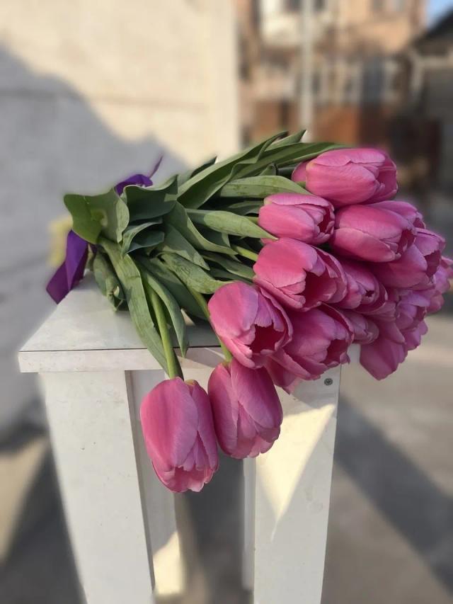 Spring bouquet of 15 tulips "Breath of Spring" - order tulips in Yerevan for March 8 | ծաղիկների առաքում Երևանում