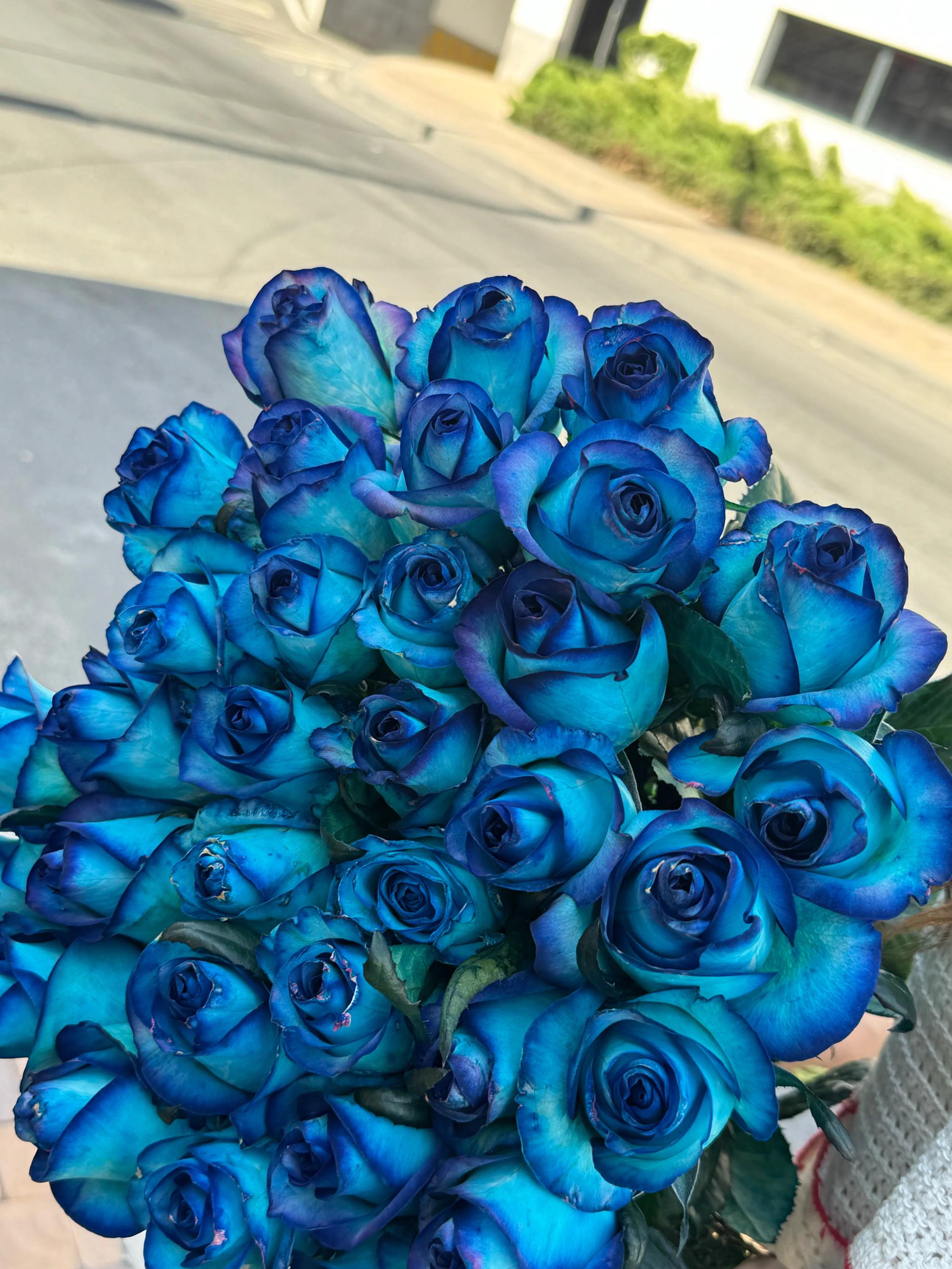 A bunch of blue roses | ծաղիկներ, ծաղկեպսակներ, բույսեր Երևան