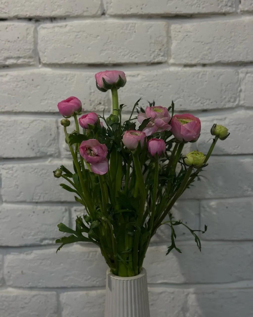 Pink Ranunculus | ծաղիկների առաքում Երևանում