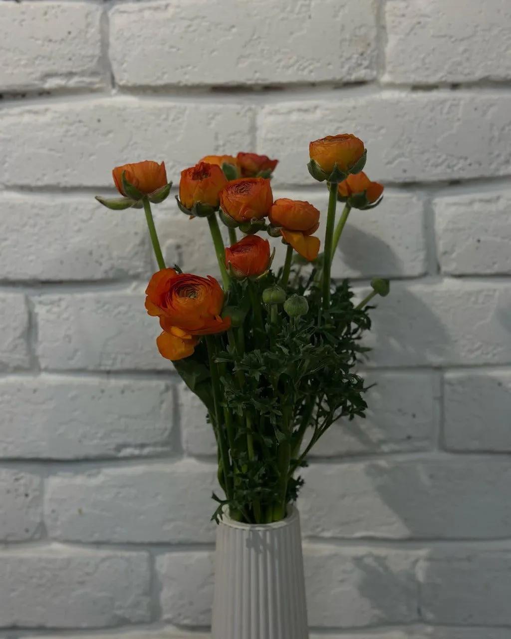 Orange Ranunculus | ծաղիկների առաքում Երևանում