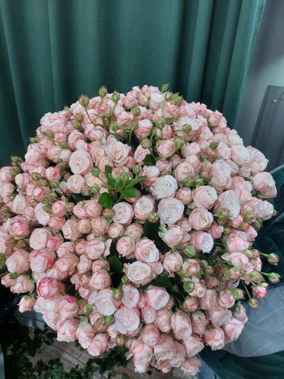 Bunch of roses | ծաղիկներ, ծաղկեպսակներ, բույսեր - առաքում Երևան