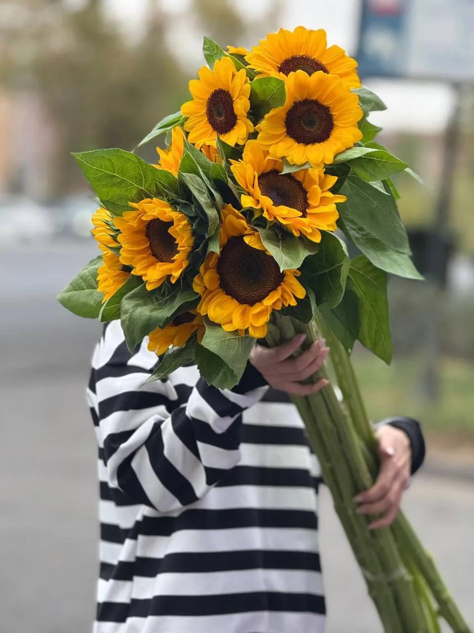 Sunflowers | ծաղիկների առաքում Երևանում
