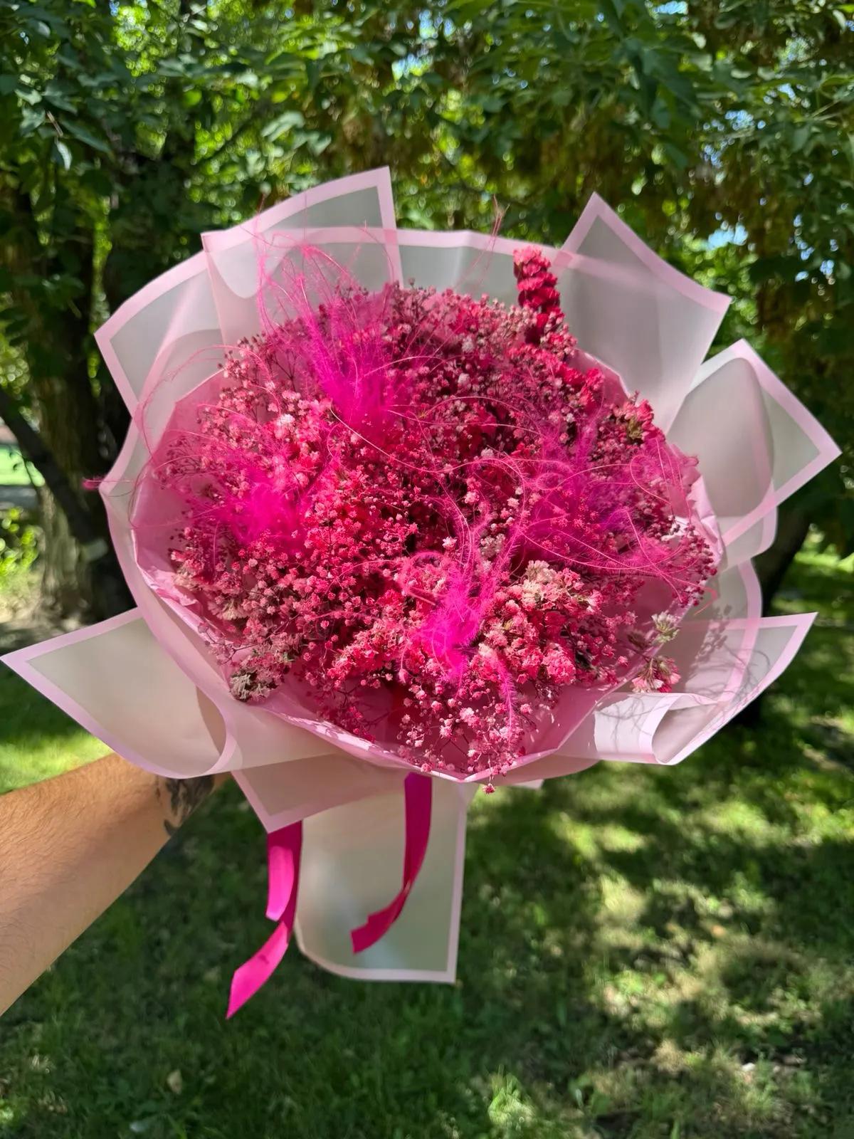 Pink gypsophilies | ծաղիկներ, ծաղկեպսակներ, բույսեր Երևան Pink gypsophilies | ծաղիկներ, ծաղկեպսակներ, բույսեր Երևան