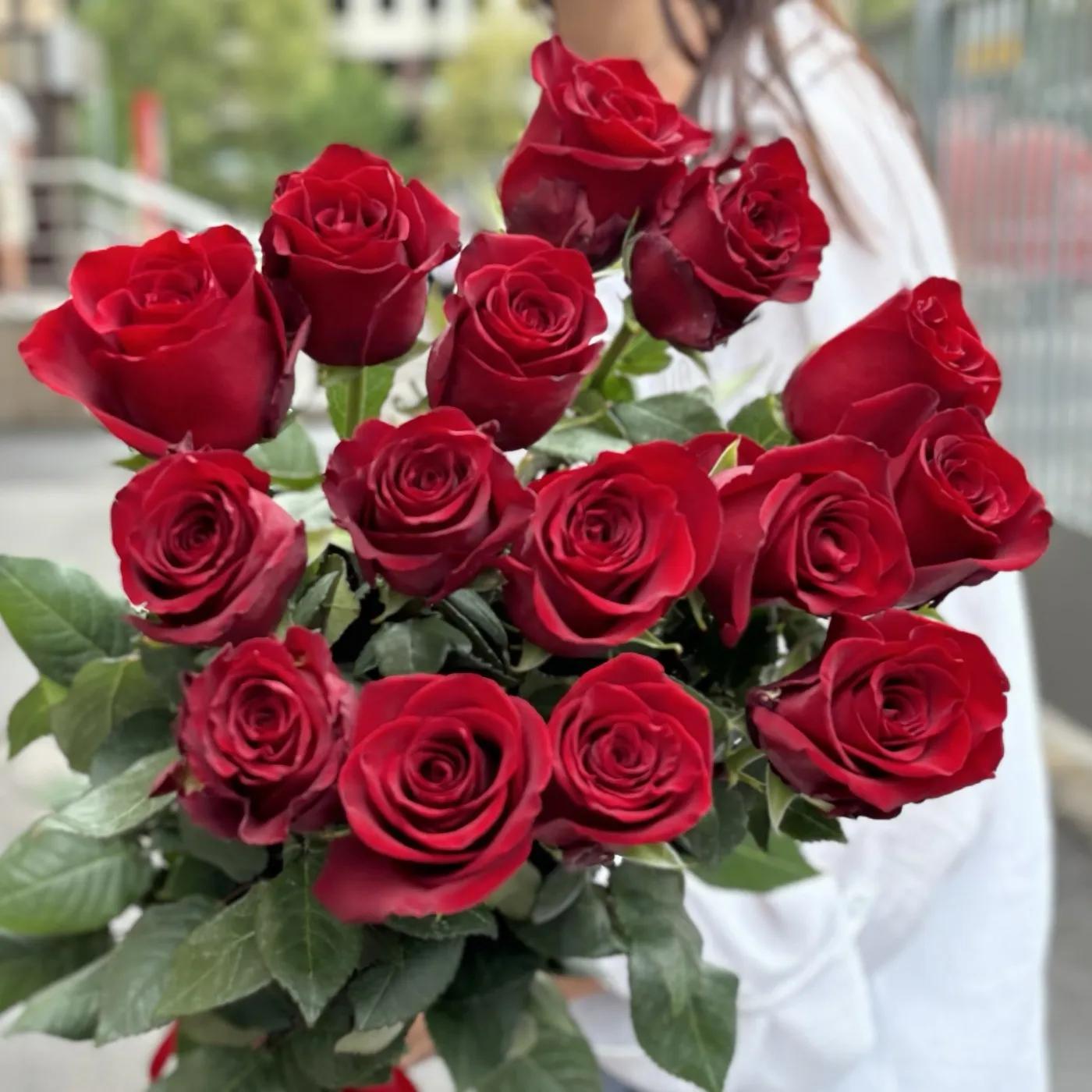 Dutch burgundy roses | ծաղիկներ, ծաղկեպսակներ, բույսեր Երևան Dutch burgundy roses | ծաղիկներ, ծաղկեպսակներ, բույսեր Երևան