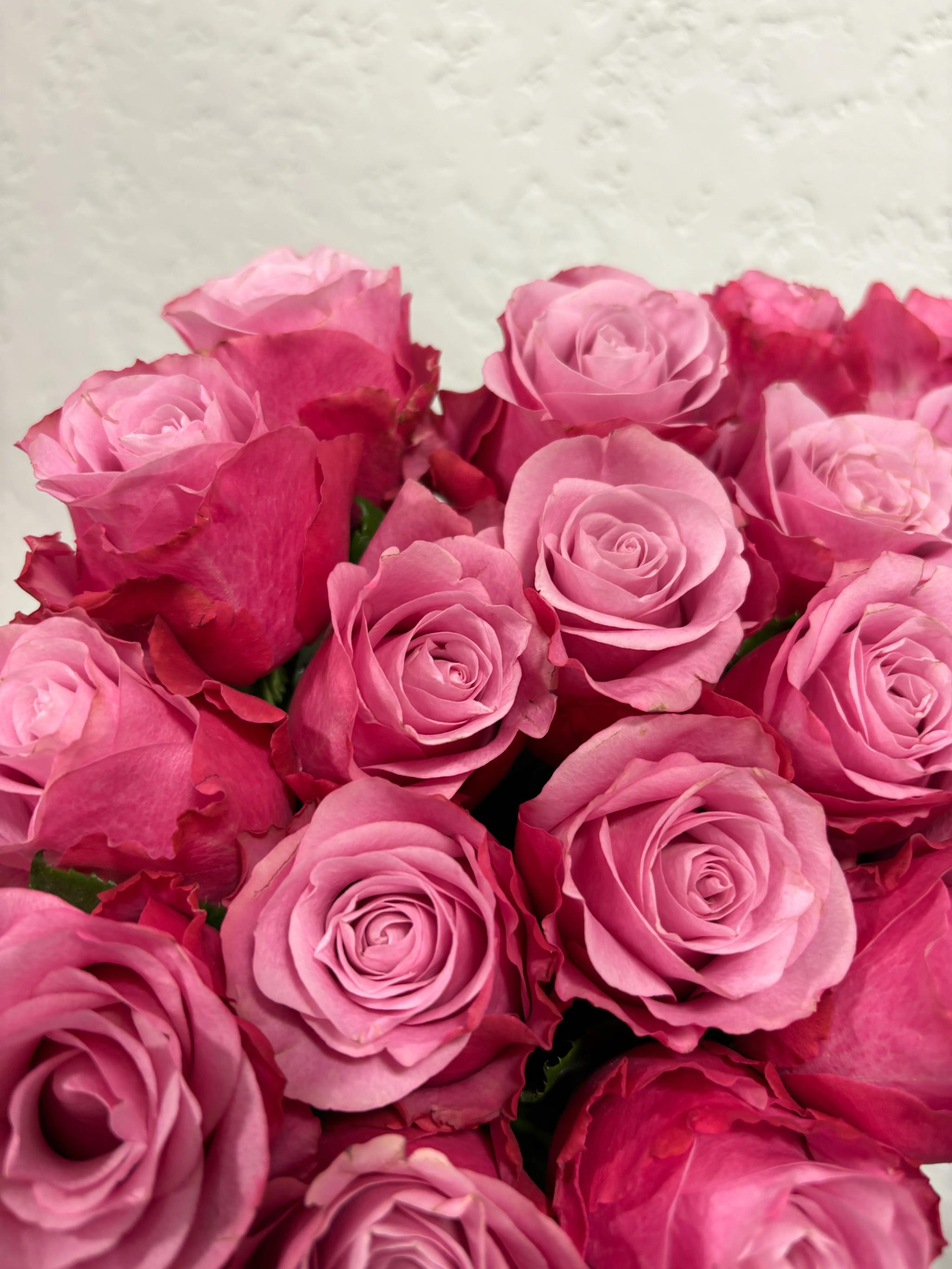 Bunch of roses | ծաղիկներ, ծաղկեպսակներ, բույսեր Երևան Bunch of roses | ծաղիկներ, ծաղկեպսակներ, բույսեր Երևան