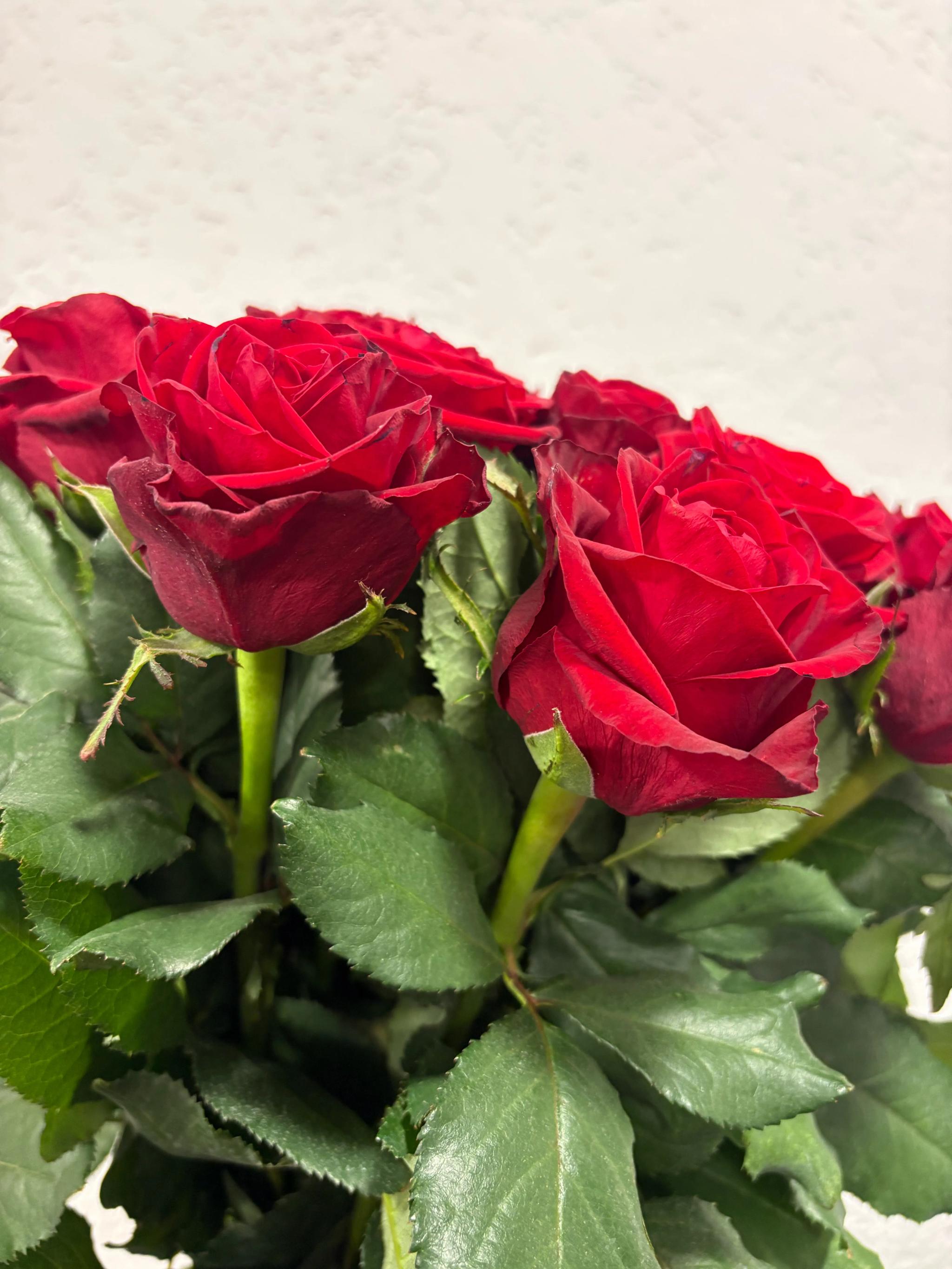 Bunch of roses | ծաղիկներ, ծաղկեպսակներ, բույսեր Երևան Bunch of roses | ծաղիկներ, ծաղկեպսակներ, բույսեր Երևան