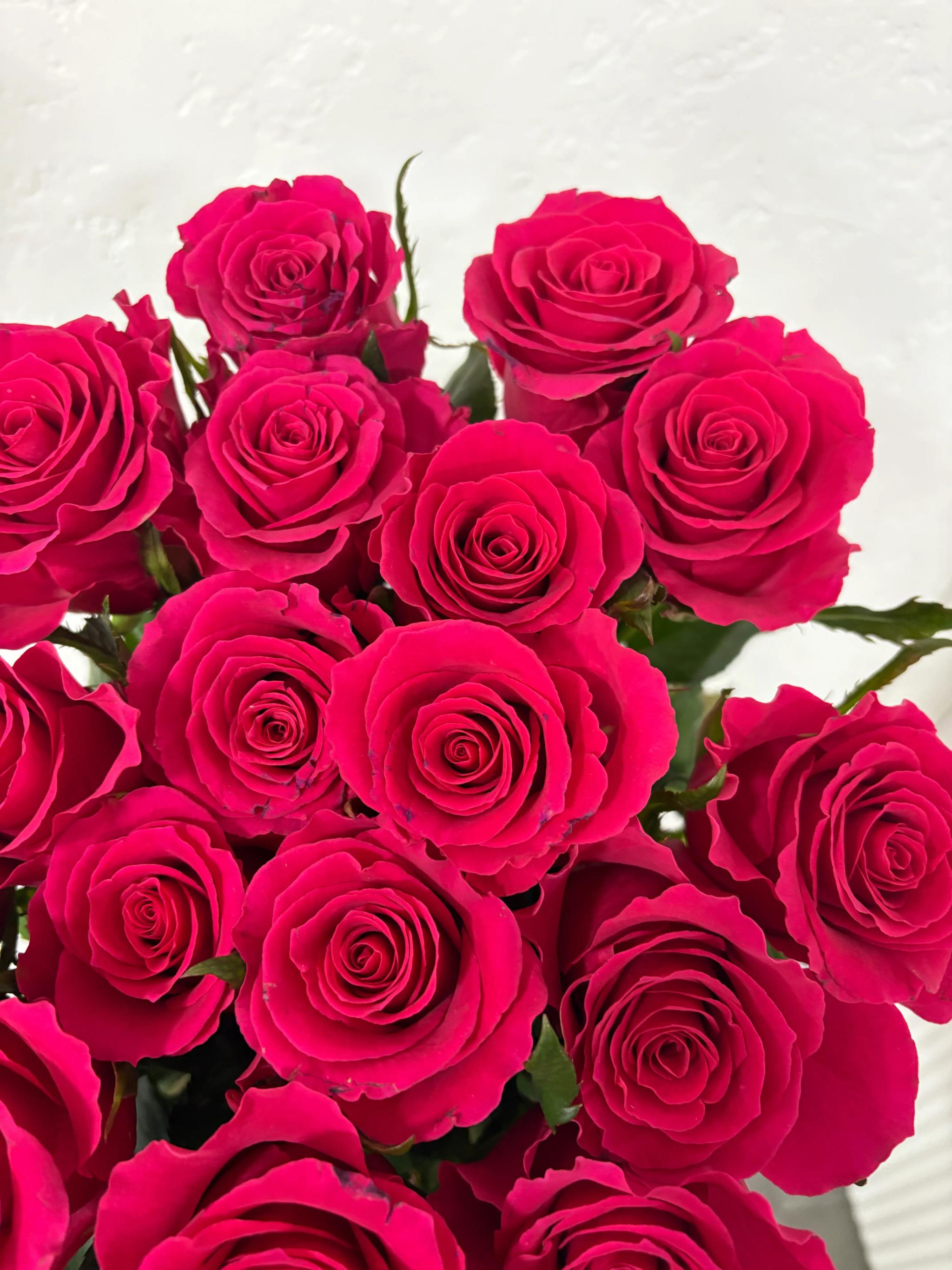 Bunch of roses | ծաղիկներ, ծաղկեպսակներ, բույսեր Երևան Bunch of roses | ծաղիկներ, ծաղկեպսակներ, բույսեր Երևան