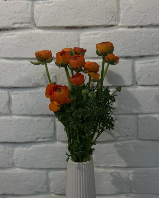 Orange Ranunculus Orange Ranunculus | ծաղիկների առաքում Երևանում