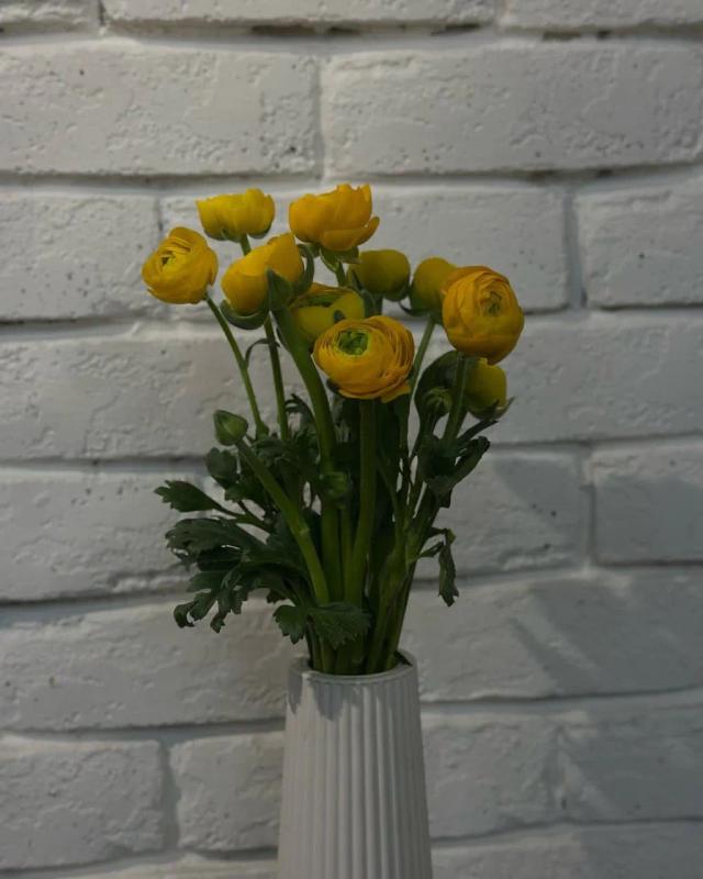 Yellow Ranunculus Yellow Ranunculus | ծաղիկների առաքում Երևանում